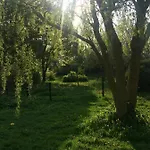 Oda ve Kahvaltı Aasesminde *