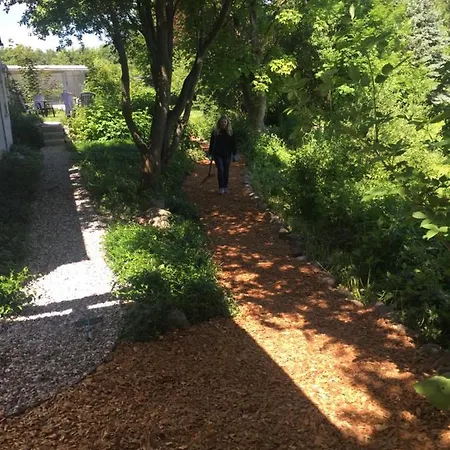 Aasesminde לינה וארוחת בוקר *