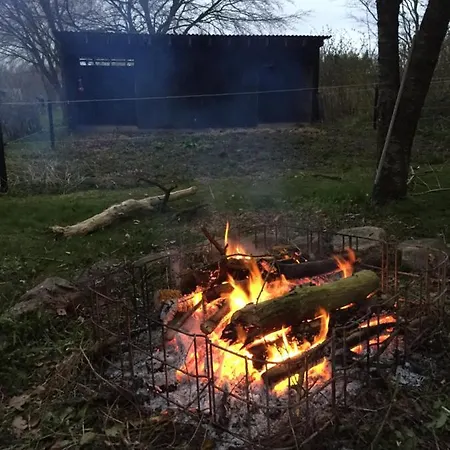 לינה וארוחת בוקר Aasesminde *