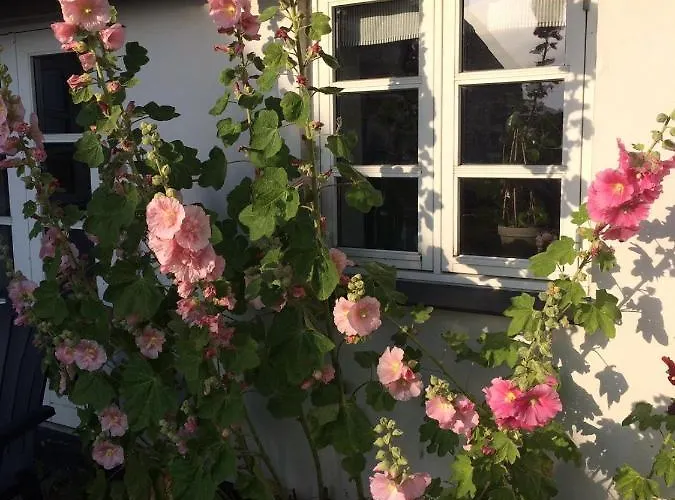 Aasesminde לינה וארוחת בוקר