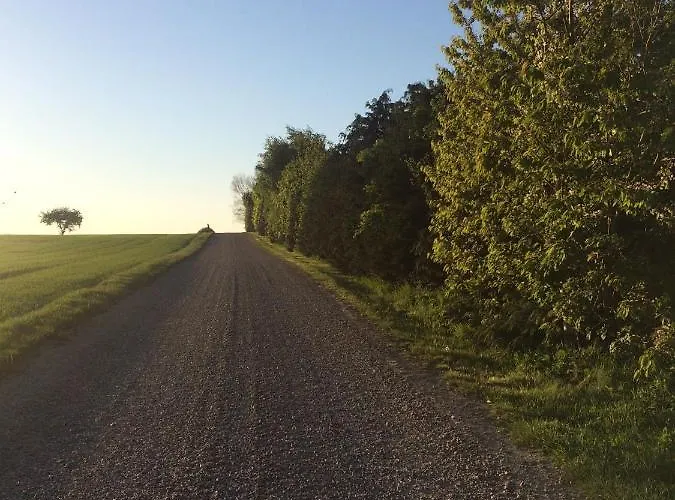 Aasesminde לינה וארוחת בוקר